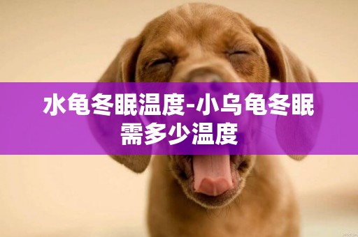 水龜冬眠溫度-小烏龜冬眠需多少溫度