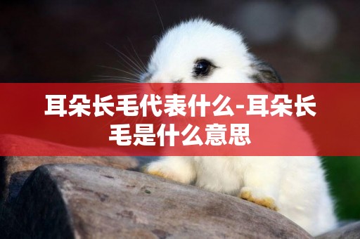 耳朵長毛代表什么-耳朵長毛是什么意思