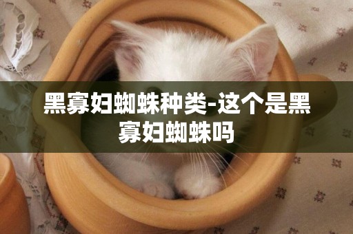 黑寡婦蜘蛛種類-這個是黑寡婦蜘蛛嗎