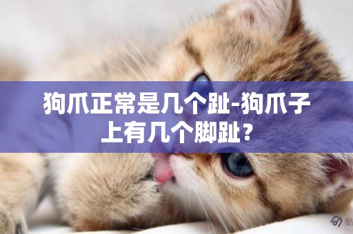 狗爪正常是幾個趾-狗爪子上有幾個腳趾？