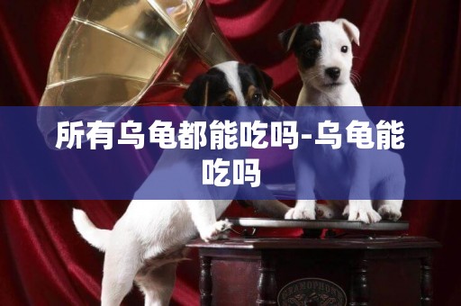 所有烏龜都能吃嗎-烏龜能吃嗎