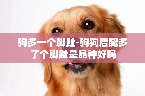 狗多一個腳趾-狗狗后腿多了個腳趾是品種好嗎