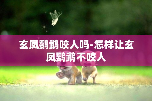 玄鳳鸚鵡咬人嗎-怎樣讓玄鳳鸚鵡不咬人