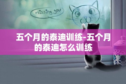 五個月的泰迪訓練-五個月的泰迪怎么訓練