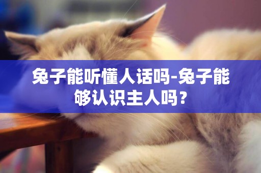 兔子能聽懂人話嗎-兔子能夠認識主人嗎？