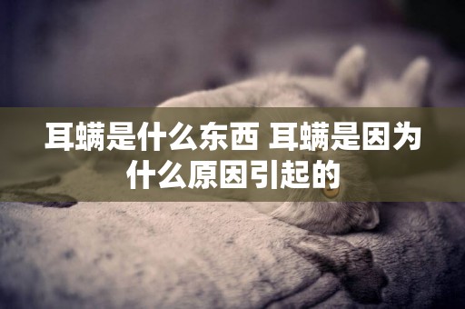 耳螨是什么東西 耳螨是因為什么原因引起的