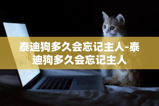 泰迪狗多久會忘記主人-泰迪狗多久會忘記主人