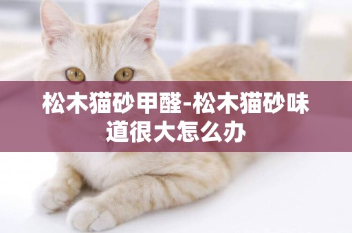 松木貓砂甲醛-松木貓砂味道很大怎么辦
