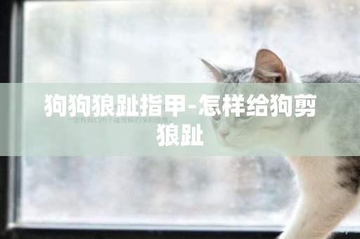 狗狗狼趾指甲-怎樣給狗剪狼趾