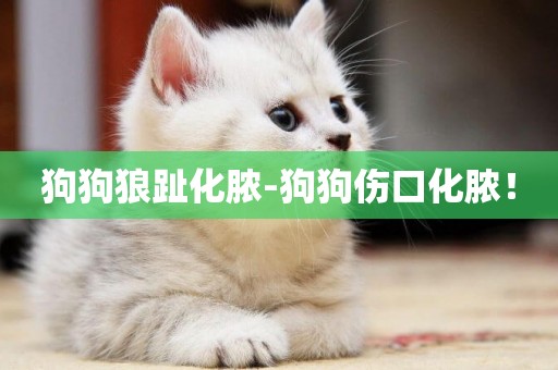 狗狗狼趾化膿-狗狗傷口化膿！