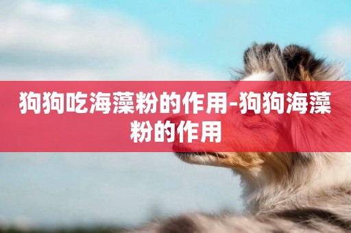 狗狗吃海藻粉的作用-狗狗海藻粉的作用