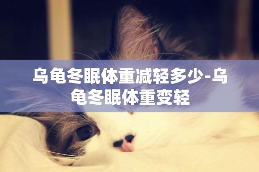 烏龜冬眠體重減輕多少-烏龜冬眠體重變輕