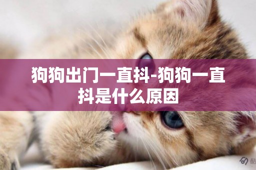 狗狗出門一直抖-狗狗一直抖是什么原因