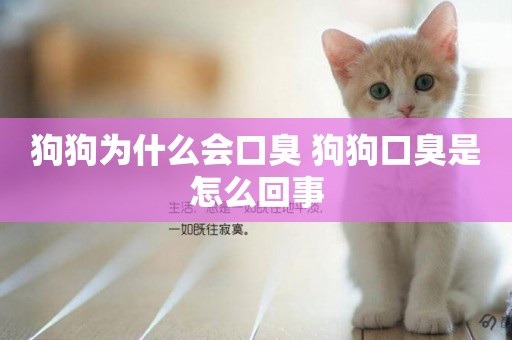 狗狗為什么會口臭 狗狗口臭是怎么回事 狗狗為什么會口臭 狗狗口臭是怎么回事