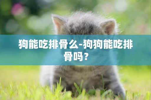 狗能吃排骨么-狗狗能吃排骨嗎？