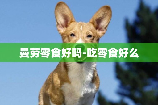 曼勞零食好嗎-吃零食好么