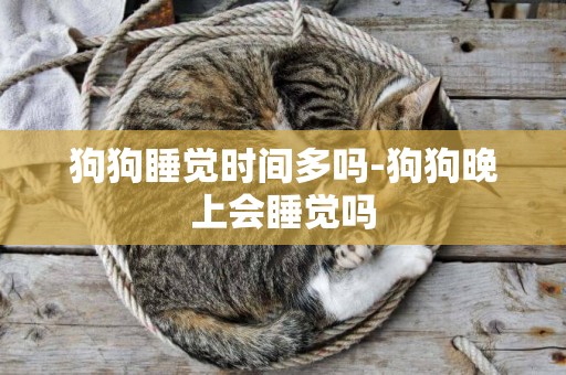狗狗睡覺時間多嗎-狗狗晚上會睡覺嗎