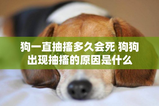 狗一直抽搐多久會死 狗狗出現抽搐的原因是什么