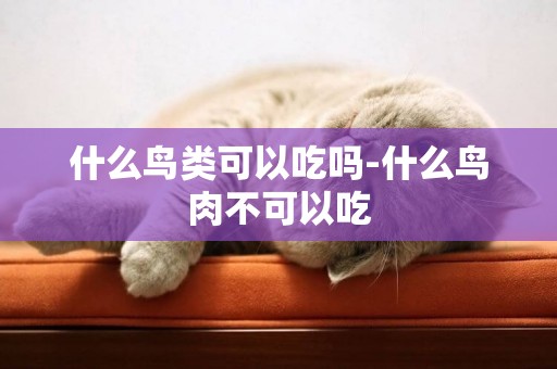 什么鳥類可以吃嗎-什么鳥肉不可以吃