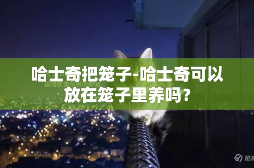 哈士奇把籠子-哈士奇可以放在籠子里養嗎？
