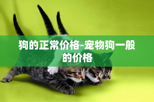 狗的正常價格-寵物狗一般的價格