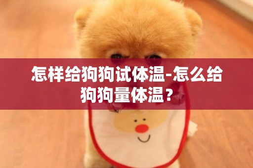 怎樣給狗狗試體溫-怎么給狗狗量體溫？