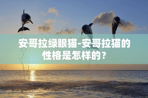 安哥拉綠眼貓-安哥拉貓的性格是怎樣的？