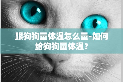 跟狗狗量體溫怎么量-如何給狗狗量體溫？