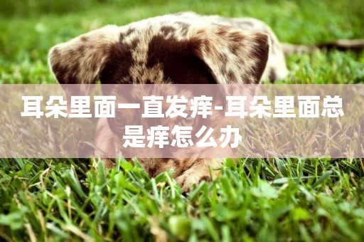 耳朵里面一直發癢-耳朵里面總是癢怎么辦