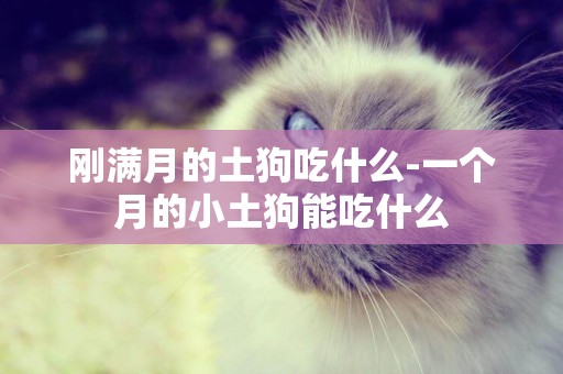 剛滿月的土狗吃什么-一個月的小土狗能吃什么