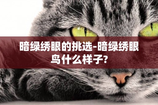 暗綠繡眼的挑選-暗綠繡眼鳥什么樣子?
