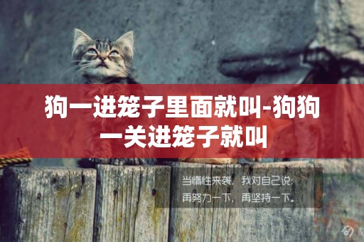 狗一進籠子里面就叫-狗狗一關進籠子就叫