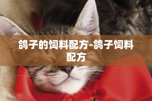 鴿子的飼料配方-鴿子飼料配方