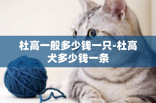 杜高一般多少錢一只-杜高犬多少錢一條