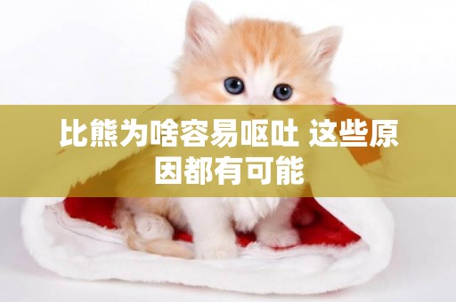 比熊為啥容易嘔吐 這些原因都有可能