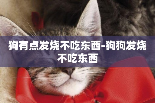 狗有點發燒不吃東西-狗狗發燒不吃東西