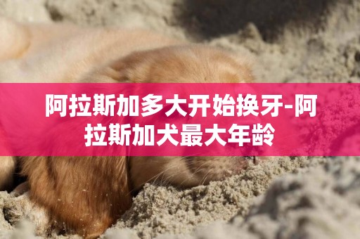 阿拉斯加多大開始換牙-阿拉斯加犬最大年齡