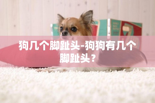 狗幾個腳趾頭-狗狗有幾個腳趾頭？