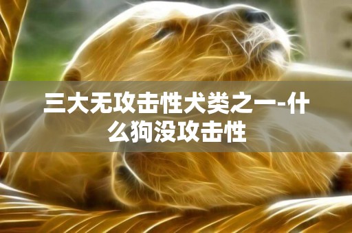 三大無攻擊性犬類之一-什么狗沒攻擊性