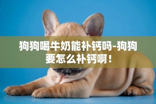 狗狗喝牛奶能補鈣嗎-狗狗要怎么補鈣啊！
