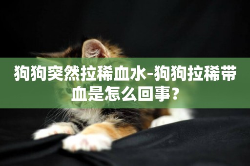 狗狗突然拉稀血水-狗狗拉稀帶血是怎么回事？