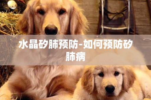 水晶矽肺預防-如何預防矽肺病