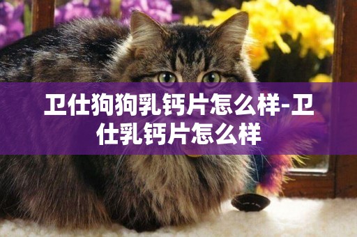衛仕狗狗乳鈣片怎么樣-衛仕乳鈣片怎么樣