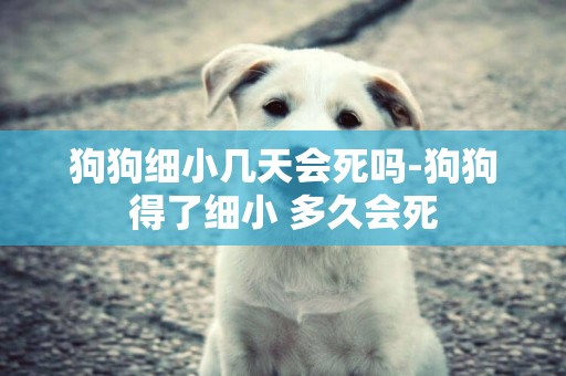 狗狗細小幾天會死嗎-狗狗得了細小 多久會死