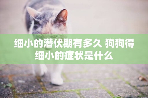 細小的潛伏期有多久 狗狗得細小的癥狀是什么