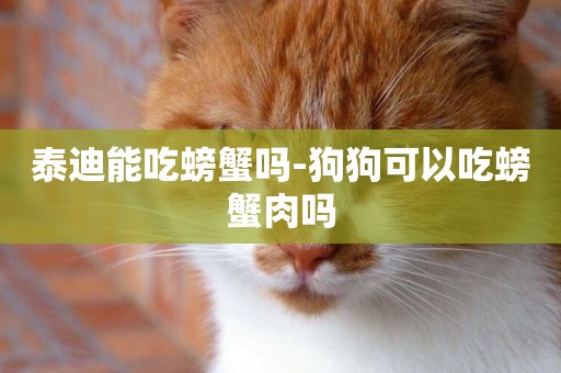 泰迪能吃螃蟹嗎-狗狗可以吃螃蟹肉嗎
