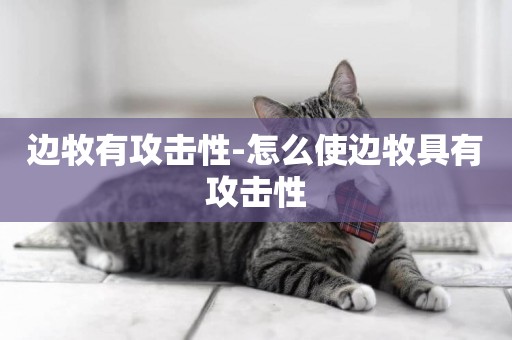 邊牧有攻擊性-怎么使邊牧具有攻擊性