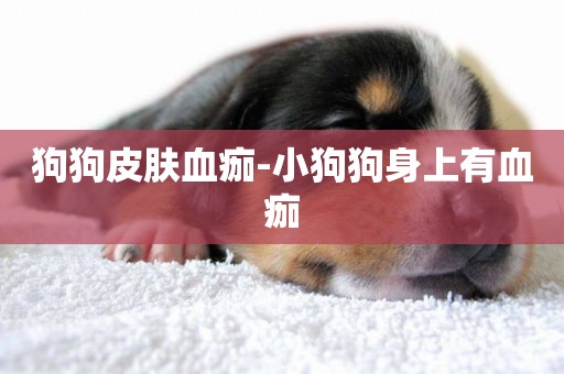 狗狗皮膚血痂-小狗狗身上有血痂