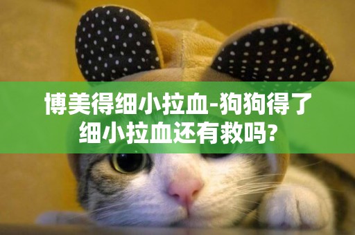 博美得細小拉血-狗狗得了細小拉血還有救嗎?