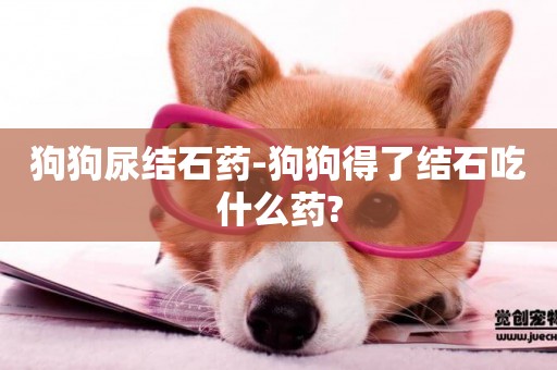 狗狗尿結石藥-狗狗得了結石吃什么藥?